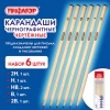 Карандаши чернографитные чертежные школьные разной твердости, НАБОР 6 штук: 2H-2B, ПИФАГОР, 181999 - МСК «Форвард»