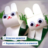 cfcd9be95f1f77ba78aa73c360e4f3ae_x