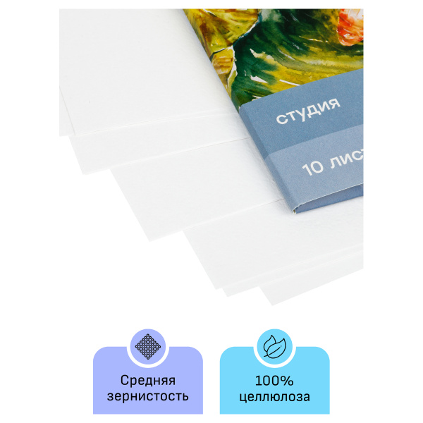 Папка для акварели 10л А4 200г/м2, среднее зерно Гамма "Студия" 40C03F710W 346939 - МСК «Форвард»