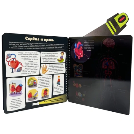 Книжка с фонариком "Познаю мир", КОМПЛЕКТ 6ШТ 210х230 мм, 12 страниц, АССОРТИ, Бимбимон 691202 - МСК «Форвард»