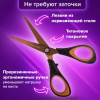 4bbac0477967c281889bfbf0353a296c_x