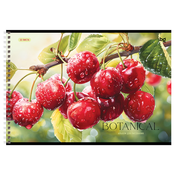 Альбом для рисования 32л., А4, на гребне BG "Ягодный" 100г/м2 АР4гр32 08638 378708 - МСК «Форвард»