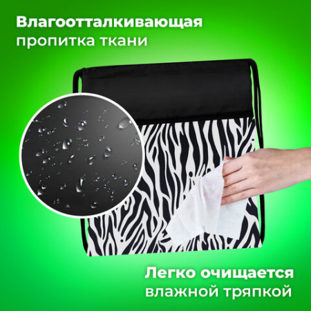 Мешок для обуви BRAUBERG БОЛЬШОЙ, с ручкой, карман на молнии, сетка, 49х41 см, "Zebra", 271611 - МСК «Форвард»