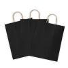 Крафт-пакет бумажный "Black" 26х15х35 см, КОМПЛЕКТ 25ШТ с кручеными ручками, плотность 80 г/м2, моноцвет, 112429 701004 - МСК «Форвард»