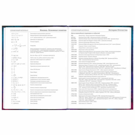 Дневник 5-11 класс 48 л., твердый, BRAUBERG, глянцевая ламинация, с подсказом, "Space cat", 106865 - МСК «Форвард»