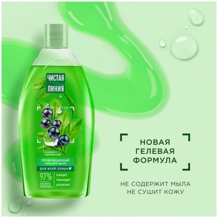 Гель для душа 750 мл, ЧИСТАЯ ЛИНИЯ "Смородина и ледниковая вода", на натуральной основе 609849 - МСК «Форвард»