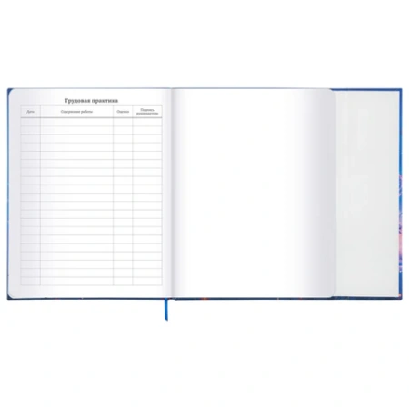 Дневник 1-11 класс 48 л., твердый, BRAUBERG, матовая ламинация, магнитный клапан, закладка-ляссе, с подсказом, "Magic", 107243 - МСК «Форвард»