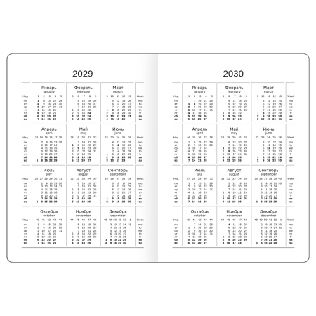 Ежедневник датированный 2027г, А6, МАЛЫЙ ФОРМАТ, 176л., 7БЦ BG"Monochrome. Black", черный, soft tuch DdА6_68154 390398 - МСК «Форвард»