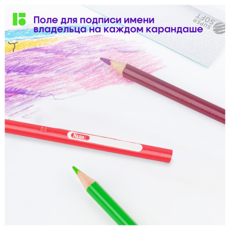 Карандаши цветные Berlingo "SuperSoft. Жил-был кот", 24цв., трехгран., заточен., картон, европодвес SS00524 297238 - МСК «Форвард»