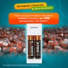 Зарядное устройство с аккумуляторами 4 шт. (2+2) AA+AAA (HR6+HR03), 2700 mAh + 1000 mAh, SONNEN (СОНЕН) BC2, 455005 - МСК «Форвард»