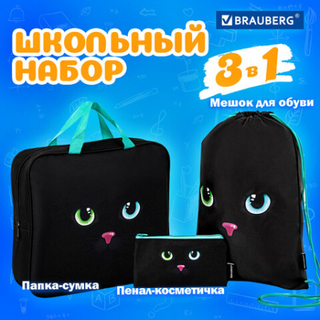 Папка на молнии с ручками А4, мешок для обуви 42х33 см, пенал 20х10 см, "Black cat" НАБОР BRAUBERG, 271434 - МСК «Форвард»