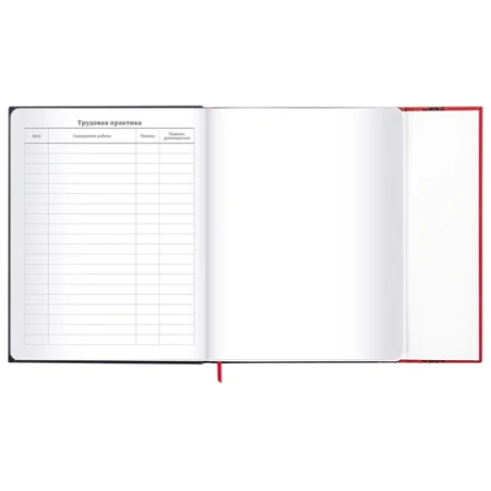 Дневник 1-11 класс 48 л., твердый, BRAUBERG, матовая ламинация, магнитный клапан, закладка-ляссе, с подсказом, "Авто", 107246 - МСК «Форвард»