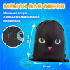 Папка на молнии с ручками А4, мешок для обуви 42х33 см, пенал 20х10 см, "Black cat" НАБОР BRAUBERG, 271434 - МСК «Форвард»
