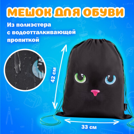 Папка на молнии с ручками А4, мешок для обуви 42х33 см, пенал 20х10 см, "Black cat" НАБОР BRAUBERG, 271434 - МСК «Форвард»