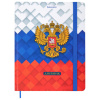 Дневник 1-11 класс 48 л., твердый, BRAUBERG, матовая ламинация, резинка, закладка-ляссе, с подсказом, "Герб", 107238 - МСК «Форвард»