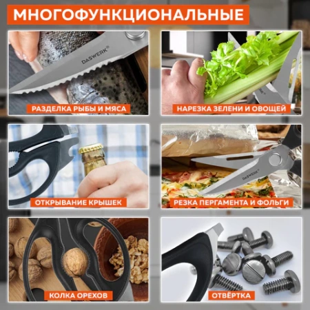 Ножницы кухонные DASWERK (ДАСВЕРК), 230 мм, разборные, с открывашками, зазубренные, 608906 - МСК «Форвард»