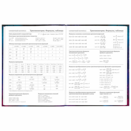 Дневник 5-11 класс 48 л., твердый, BRAUBERG, глянцевая ламинация, с подсказом, "Space cat", 106865 - МСК «Форвард»