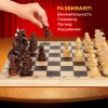 Шахматы турнирные, деревянные, лакированные, глянцевые, доска 40*40 см, ЗОЛОТАЯ СКАЗКА, 665363 - МСК «Форвард»