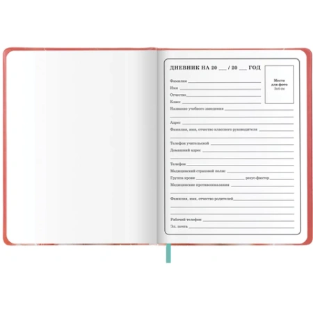 Дневник 1-4 класс 48л, кожзам (твердая с поролоном), печать, аппликация, ЮНЛАНДИЯ, Котик, 107224 - МСК «Форвард»