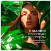 Шампунь для всех типов волос 5 л, GRASS SARGAN, для мягкости и здорового блеска волос, 125389 608523 - МСК «Форвард»