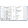 Дневник 1-11 класс 48 л., твердый, BRAUBERG, матовая ламинация, магнитный клапан, закладка-ляссе, с подсказом, "Magic", 107243 - МСК «Форвард»