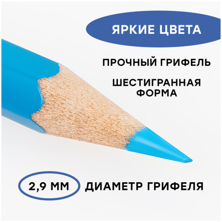 Карандаши акварельные Гамма "Лицей", 36цв., шестигранные, заточен., с кистью, картон. упаковка, европодвес 221118_05 286565  - МСК «Форвард»