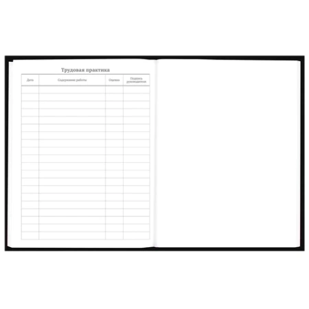 Дневник 5-11 класс 48 л., твердый, BRAUBERG, выборочный лак, с подсказом, "Dragon", 107195 - МСК «Форвард»