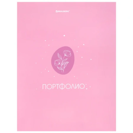 Папка-портфолио универсальная, 4 кольца, 20 файлов, 7БЦ матовая, BRAUBERG, "Gentle", 117558 - МСК «Форвард»