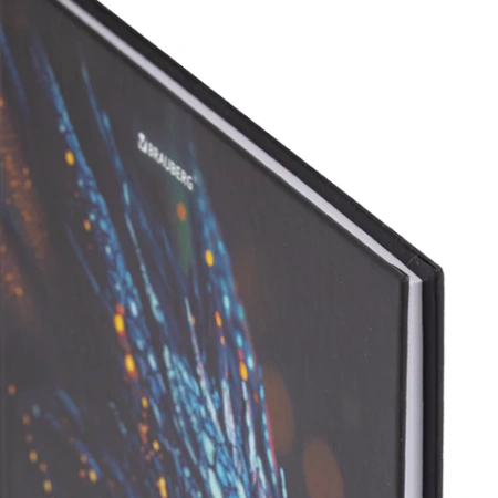 Дневник 5-11 класс 48 л., твердый, BRAUBERG, выборочный лак, с подсказом, "Dragon", 107195 - МСК «Форвард»