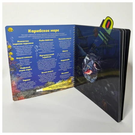 Книжка с фонариком "Познаю мир", КОМПЛЕКТ 6ШТ 210х230 мм, 12 страниц, АССОРТИ, Бимбимон 691202 - МСК «Форвард»