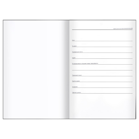 Ежедневник недатированный А5, 136л., 7БЦ, BG " Достопримечательности России", глянцевая ламинация 388507 - МСК «Форвард»