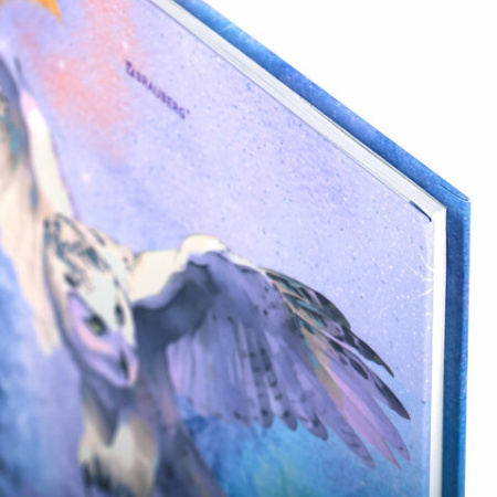 Дневник 1-11 класс 40 л., твердый, BRAUBERG, глянцевая ламинация, "Сова", 106846 ПРОДАЖИ ПРЕКРАЩЕНЫ - МСК «Форвард»