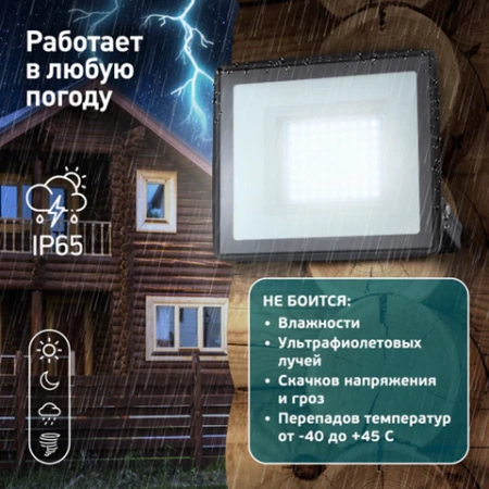 Прожектор светодиодный ЭРА, 100 (830) Вт, 6500 К, 8000 Лм, IP65, черный, LPR-023-0-65K-100, Б0052026 238229 - МСК «Форвард»