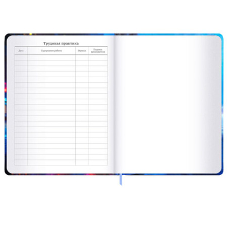 Дневник 1-11 класс 48 л., твердый, BRAUBERG, матовая ламинация, резинка, закладка-ляссе, с подсказом, "Футбол", 107235 - МСК «Форвард»