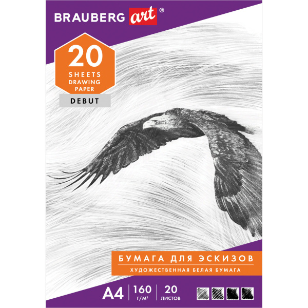 Папка для рисования А4, 20л., 160 г/м2, BRAUBERG, 210х297мм, Орел, 125230
