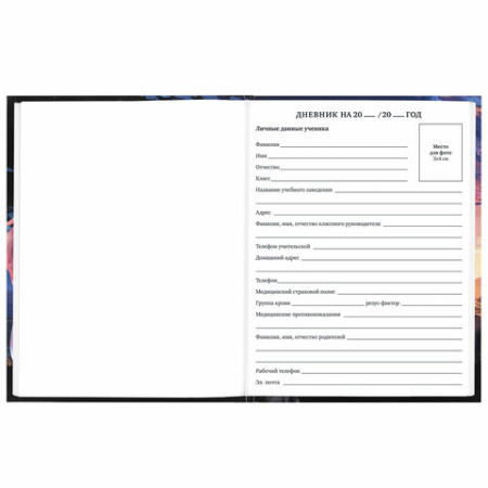 Дневник 1-11 класс 40 л., твердый, BRAUBERG, глянцевая ламинация, "The mysterious girl", 106844 ПРОДАЖИ ПРЕКРАЩЕНЫ - МСК «Форвард»