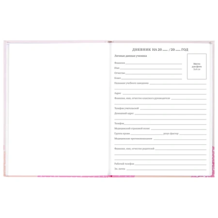 Дневник 5-11 класс 48 л., твердый, BRAUBERG, глянцевая ламинация, с подсказом, "Летний", 106631 - МСК «Форвард»