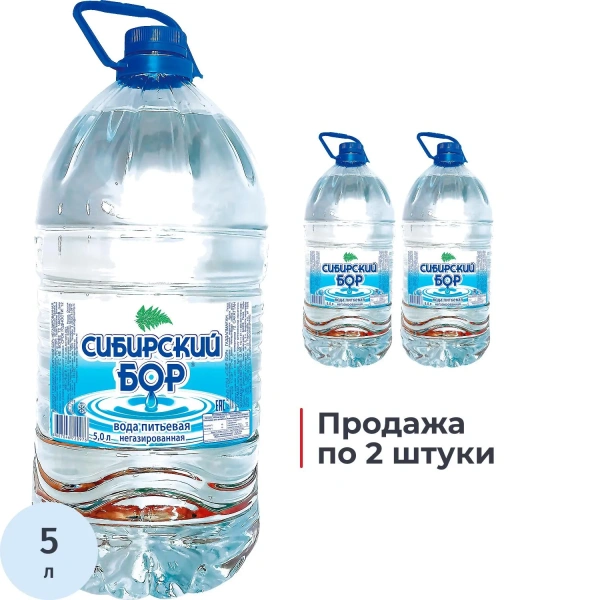 Вода питьевая Сибирский Бор негазированная 5 л КОМПЛЕКТ 2ШТ 2464851  - МСК «Форвард»