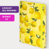 8cc555ba500ac6460685cba9cdee4e4a_x