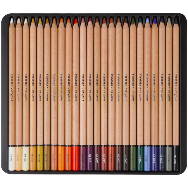 Карандаши цветные пастельные Гамма "Студия", НАБОР 24цв. , картон.упаковка 170322_24P 372596 - МСК «Форвард»