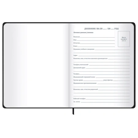 Дневник 1-11 класс 48 л., твердый, BRAUBERG, матовая ламинация, резинка, закладка-ляссе, с подсказом, "Элементы", 107242 - МСК «Форвард»