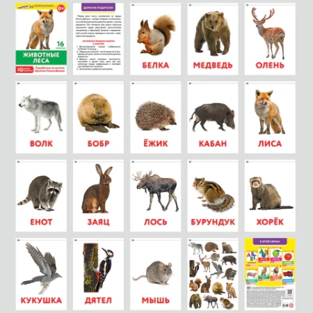 Карточки Домана, 8 развивающих брошюр по методике ГЛЕННА ДОМАНА, 145 изображений, ЮНЛАНДИЯ, 691022 - МСК «Форвард»