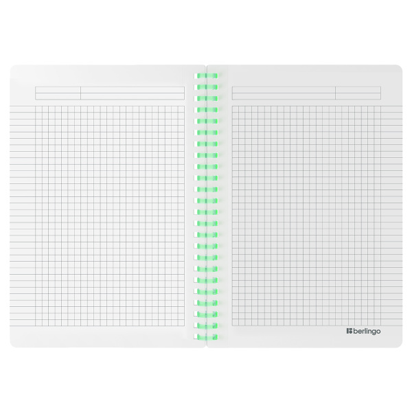 Бизнес-тетрадь A5, 80л., Berlingo "Your Way", клетка, на силиконовом гребне, 80г/м2, пластик обложка 600мкм, фиолетовая SRn_A5894 369403 - МСК «Форвард»