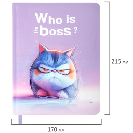 Дневник 1-11 класс 48 л., обложка кожзам (твердая с поролон), 3D-элемент, BRAUBERG, "Суровый кот", 107221 - МСК «Форвард»