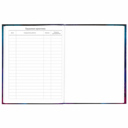 Дневник 5-11 класс 48 л., твердый, BRAUBERG, глянцевая ламинация, с подсказом, "Space cat", 106865 - МСК «Форвард»