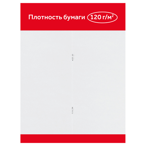 Альбом для рисования 12л., А4, на скрепке Гамма "Мультики", 120г/м2 19122022_12 356428 - МСК «Форвард»