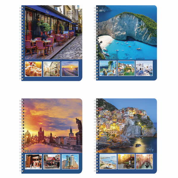 Тетрадь А5 96л. BRAUBERG гребень, клетка, обложка картон, СТРАНЫ, 403068