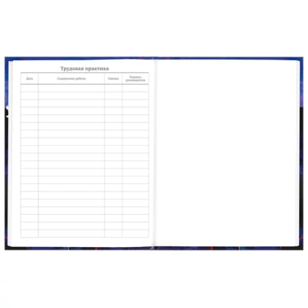 Дневник 5-11 класс 48 л., твердый, BRAUBERG, глянцевая ламинация, с подсказом, "DELIGHT", 106864 - МСК «Форвард»